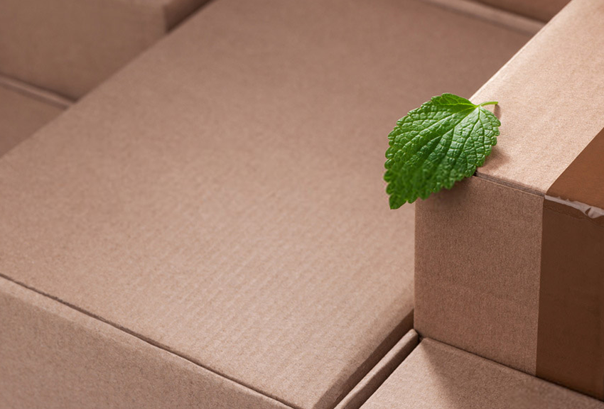 Empresa Pack Box