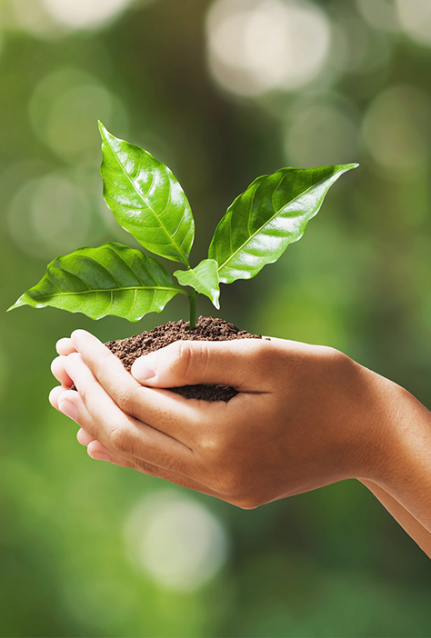 Sustentabilidade